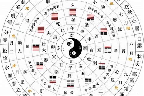 十天干|十天干十二地支